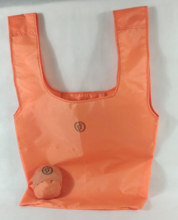 Reusable compressed shopping bag